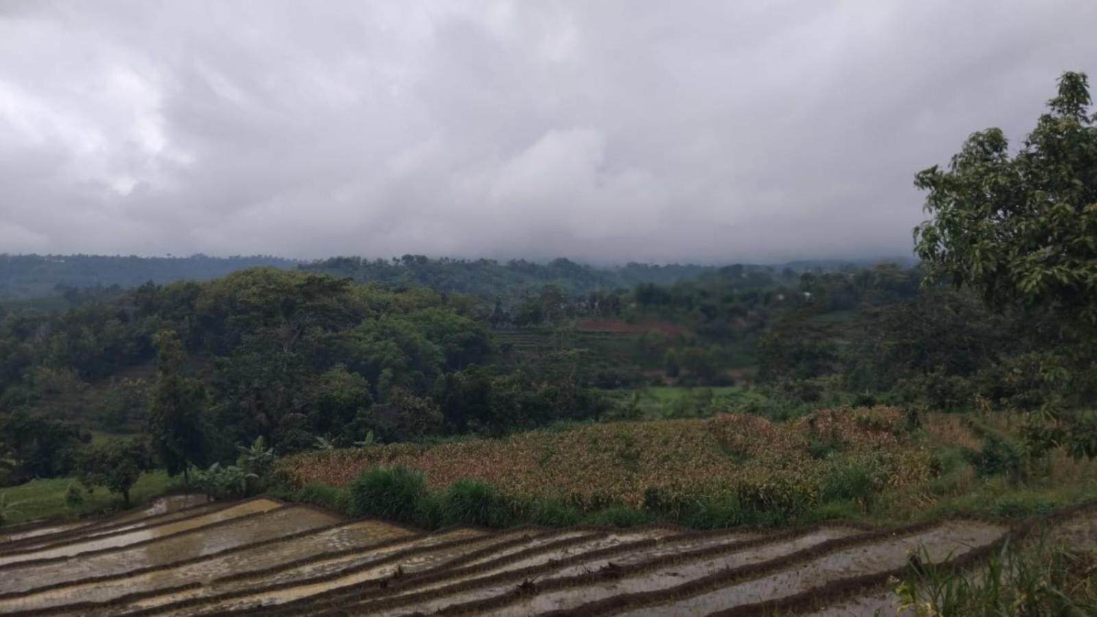 Puri Kahuripan Kediri  Exterior foto
